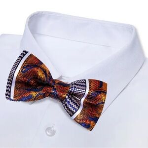Elegant Multicolor Bow Tie